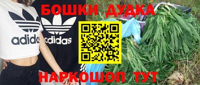 стафф Малгобек