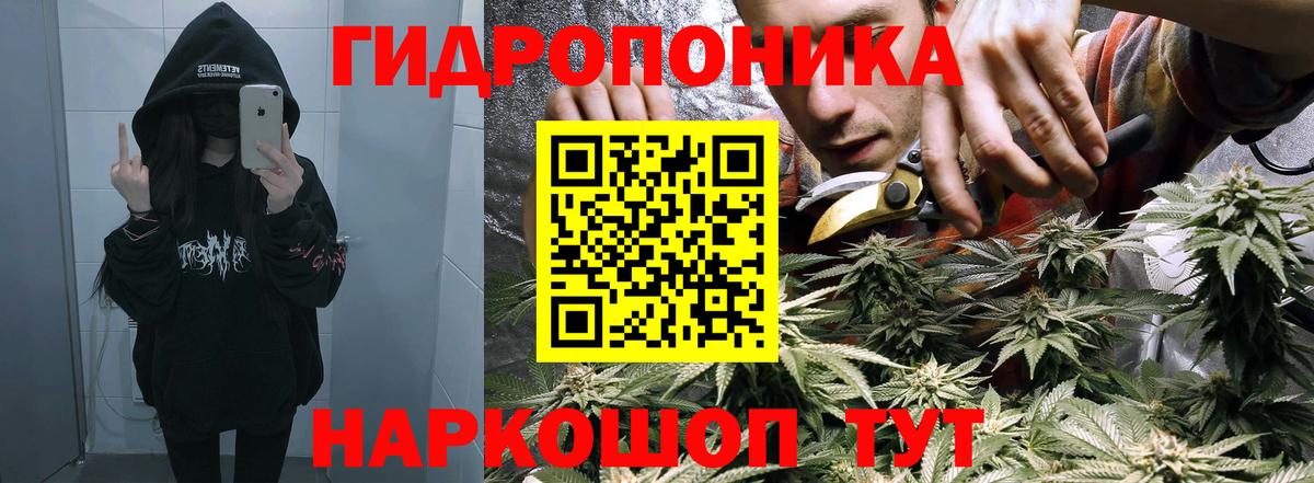 Шишки марихуана конопля  Бошки марихуана Bruce Banner  Канабис OG Kush  МАРИХУАНА AK-47  Алатырь  Вход с VPN 